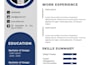design a professional resume and cv in canva